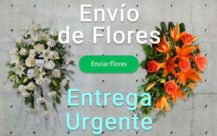 Envio de flores urgente a Tanatorio Badajoz